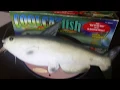 Cool Catfish 20 To The Bone Version