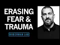 Download Lagu Erasing Fears \u0026 Traumas Based on the Modern Neuroscience of Fear
