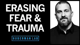 Erasing Fears Traumas Based On The Modern Neuroscience Of Fear 