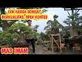 Lagu HARGA TERJANGKAU, BONSAI SPEK KONTES📞0 831-1142-7220 @JeckpaeyBonsai91 