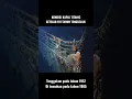 Download Lagu Bangkai Kapal TITANIC Setelah 110 Tahun Tenggelam #shorts #titanic