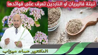 نبتة فاليريان او الناردين تعرف على فوائدها الدكتور عماد ميزاب 