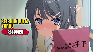 seishun buta yarou wa bunny girl senpai no yume wo minai resumen in 13 minutos