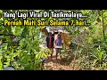 Download Lagu BIKIN KAGET.. VIRAL DI TASIKMALAYA PERNAH MATI SURI SELAMA 7 HARI DAN KINI TINGGAL DI TENGAH HUTAN