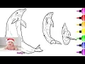 Dolphin Drawing and Coloring Pages for Kid - Sea Animal Coloring Page 175