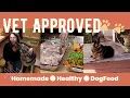 Create an Unbelievably Healthy Dog Food Recipe - Vet Approved