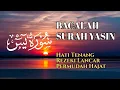 Download Lagu SURAH YASIN PENGUSIR SETAN DAN PENYEMBUH SEGALA  PENYAKIT | PENENANG HATI PIKIRAN | ALAA AQEEL