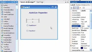 VB Visual Basic 2008 Control Properties - AutoSize Property