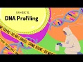 DNA profiling Reading DNA profiles