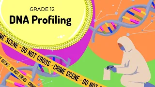 DNA profiling Reading DNA profiles