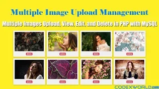 Multiple Image Upload with View Edit and Delete in PHP