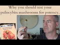 WHY you should test your psilocybin mushrooms potency before microdosing or taking larger doses
