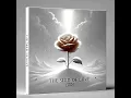 Download Lagu CSN  - The Seed of Love