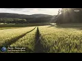 Cocoon - Hummingbird (Lost Frequencies Remix)
