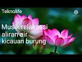 Download Lagu Relaksasi musik dengan suara air dan kicauan burung