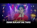 Download Lagu DIAM BUKAN TAK TAHU - SISKA AMELIA | GANDHIWA MUSIC