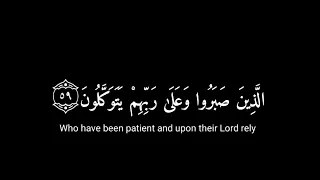 الذين صبروا وعلى ربهم يتوكلون كرومات قران شاشة سوداء القارئ عبدالرحمن مسعد سورة العنكبوت 