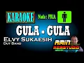 Download Lagu GULA GULA || ELVY SUKAESIH || KARAOKE Nada PRIA