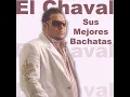 Donde Estan Esos Amigos