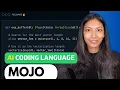 Mojo Review How good is the new programming language for AI