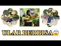 Download Lagu ULAR BERBISA-HELLO BAND