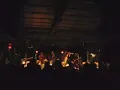 Silver Jews "Random Rules" live with trumpet