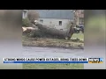 Strong winds cause power outages bring trees down in West Michigan