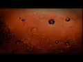 Julien Mier & Daan Kars - Passenger