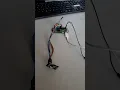 Raspberry Pi zero and AVR communicating via nRF24L01
