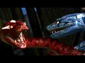 Boa VS Python FULL FIGHT