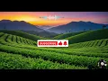 Tame Impala-Turn Up The Sunshine lyrics #video 