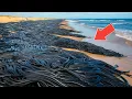 Download Lagu Een moment op een miljard in de natuur