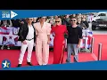 Who is Britain s Got Talent judge Bruno Tonioli s partner