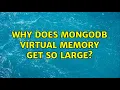 Why does mongodb virtual memory get so large