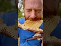 Download Lagu Fresh honeycomb on a stick courtesy of the Bee 🐝 #honey #bee #beekeeper