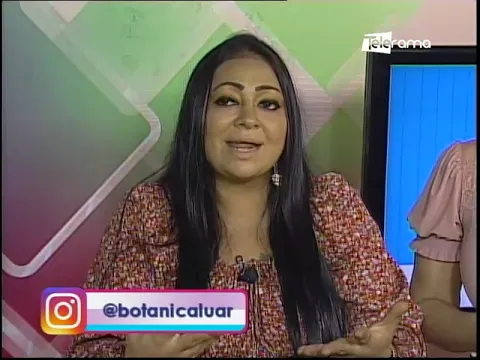 Usos mágicos de la manzanilla