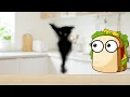 Every Wonderland.jar Monster Explained
