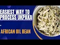 Download Lagu Easiest way to process Ukpaka (AFRICAN OIL BEAN) #Howto #ukpaka #africanoilbean #ugba #realebista