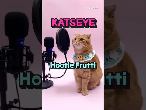 베니의 'Hootie Frutti' - KATSEYE (캣츠아이) cover by Benny the Cat #shorts