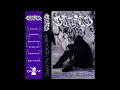 Download Lagu Denied - Together As None 2024 (Full Album)