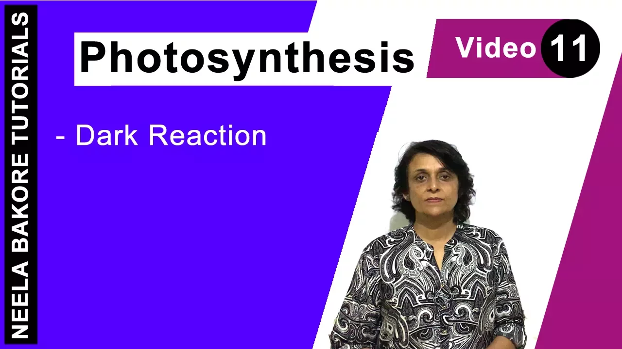 Photosynthesis | NEET | Dark Reaction | Neela Bakore Tutorials