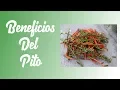 Beneficios Del Pito
