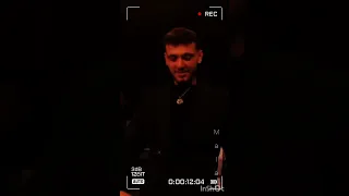 الشامي ملحم زين 