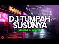 Download Lagu DJ TUMPAH SUSUNYA SLOWED \u0026 REVERB VERSION