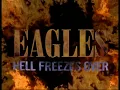 The Eagles - Hell Freezes Over 1994 - Hotel California HQ
