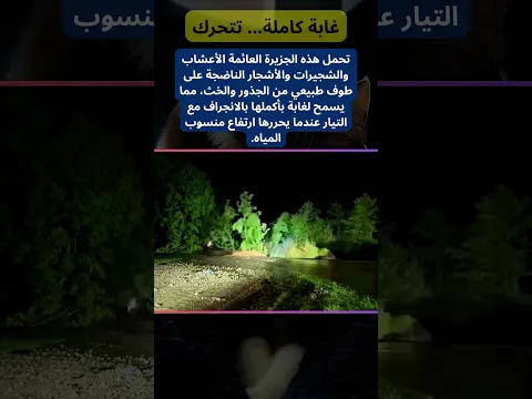 غابة كاملة تطفو فوق الماء وتتحرك مع التيار! 🌳
