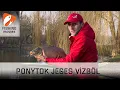 Pontyok a jeges vízből