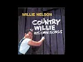 Willie Nelson - Are You Sure (1965)