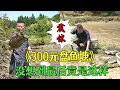 Download Lagu 花3000元幫粉絲盤魚塘，沒想到最後竟然是這樣！#三農 #新農人計劃2025#鄉村守護人 #小飛哥 #護外 #包塘