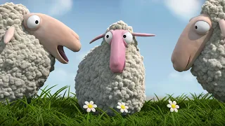 Komik Kuzular Yeni Nesil Kuzular Kuzu Animasyon Koyun Kuzu Videosu